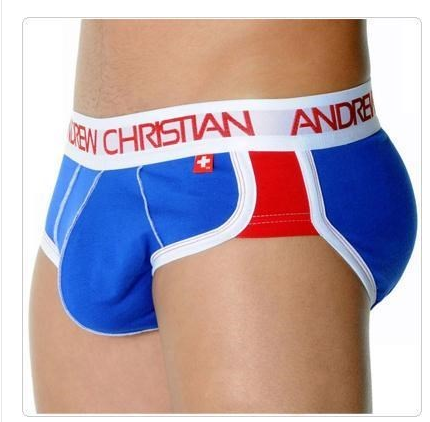 Low Waist U-Shape Triangle Underwear (Briefs)